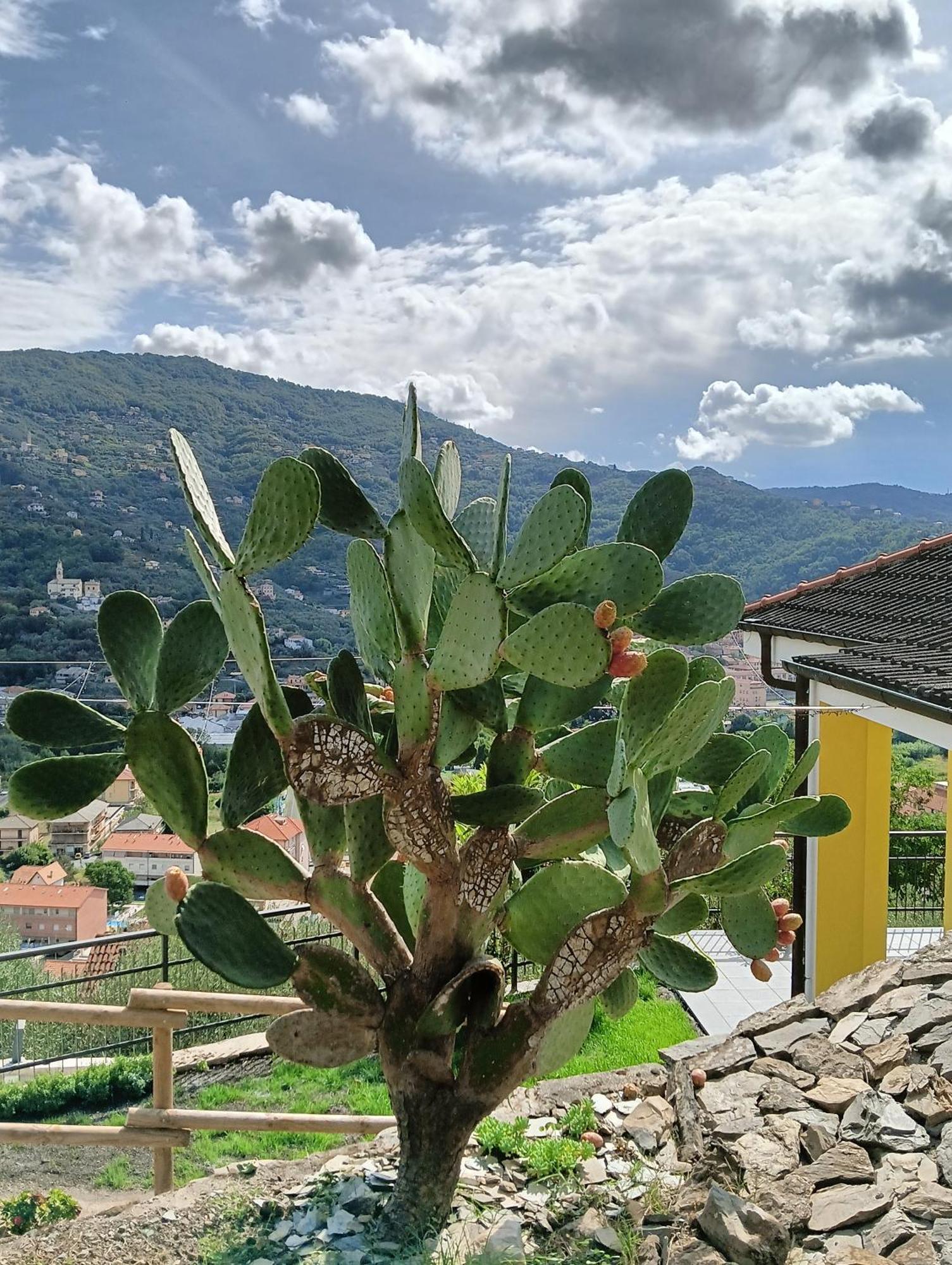 Le Drupe Villa Chiavari Kültér fotó